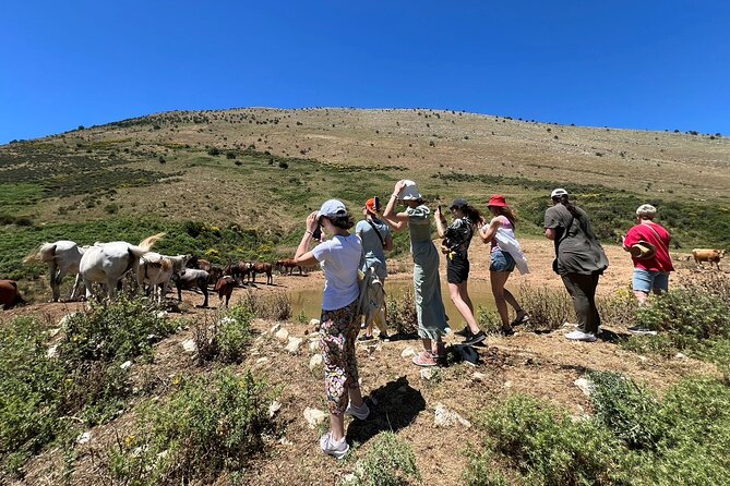 1-Day Tour in Blue Eye, Monastery, Gjirokaster and Lekursi Castle - Why this route works from Saranda