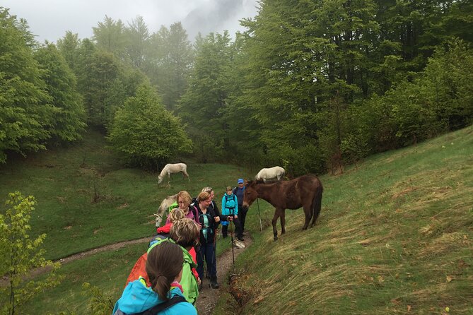 5 Days Hiking Tour to the north of Albania - Shkodra, bicycles, and a night before the ferry