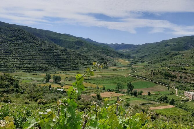 Berat 4x4 Off-Road and Vineyard Wine Tasting - Key points about the Malinat wine trip