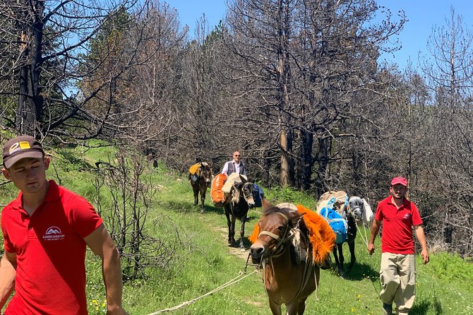 Berat Hiking Off Road picnic lunch in Tomori Holy Mount - Meeting the shepherds and mules in the mountain village