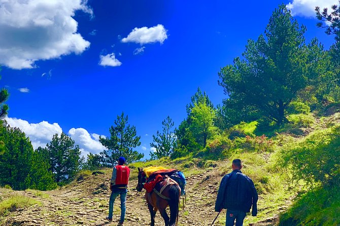 Berat Hiking Off Road picnic lunch in Tomori Holy Mount - What the equipment and support add