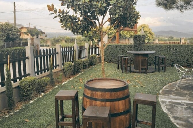 Berat wine Tour Guided Winery Tour with Transfers and Tastings - Choosing among Edoni, Alpeta, and Pupa