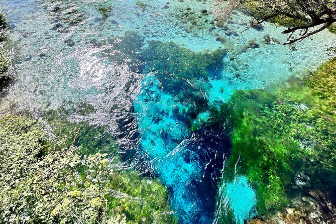 Blue Eye And Lekuresi Castle, 4 Hour Nature and Historical Tour - Two of southern Albania’s best contrasts in four hours