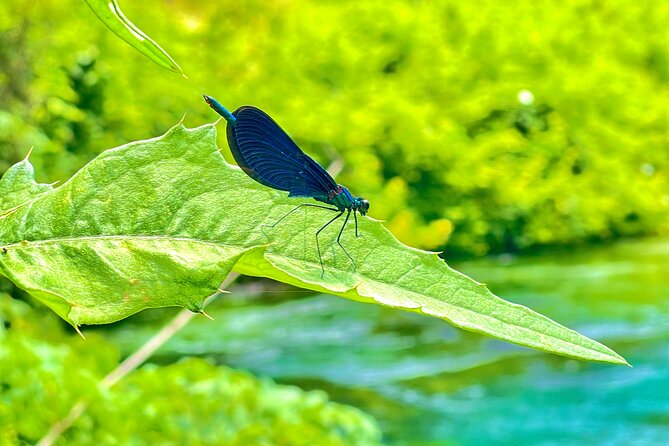 Blue Eye And Lekuresi Castle, 4 Hour Nature and Historical Tour - Is $84.29 per person a fair price?