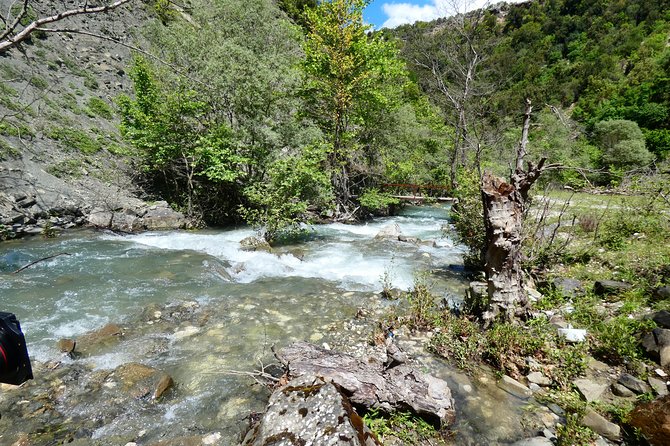 BOGOVA WATERFALL & WINERY TOUR from Berat by 1001 AA - Nurellari Winery and the taste of Berat grapes