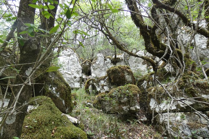 BOGOVA WATERFALL & WINERY TOUR from Berat by 1001 AA - Price, duration, and overall value