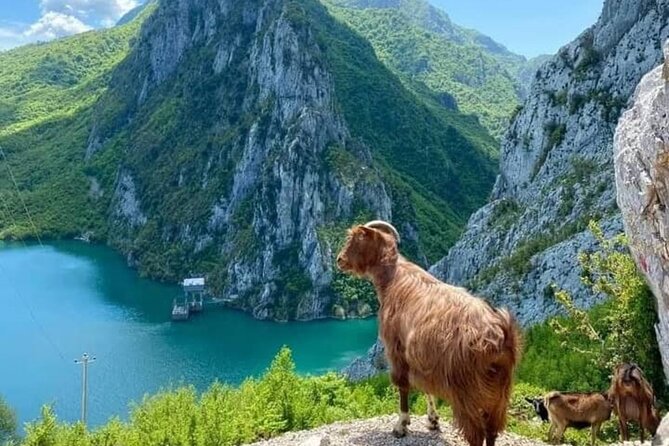 Bovilla Lake and Gamti Mountain Tour from Durres or Golem - What the six-hour schedule really means
