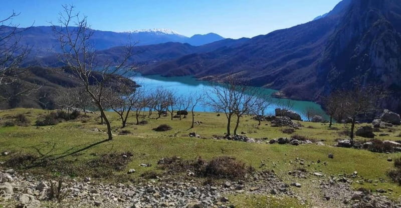 Bovilla Lake, Hiking and Swimming, Day Tour - First Look at the Reservoir
