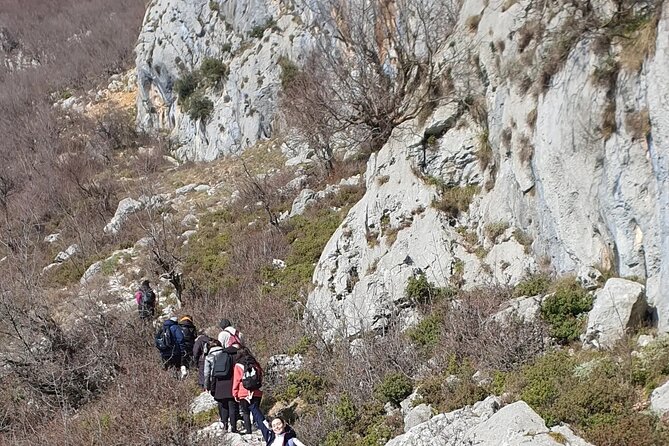 Bovilla lake Hiking Experience - What $71.20 buys you