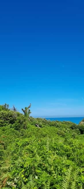 Cape of Rodon, Hiking to Castle, Beach, Wine testing tour! - Why Cape of Rodon makes a good day trip from Tirana