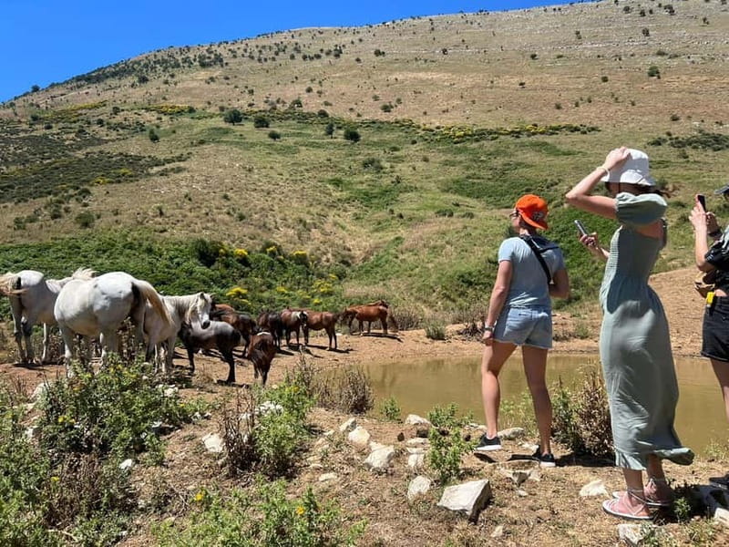 Daily Trip To:Blue Eye,Monastery,Gjirokaster&Lekursi Castle - Gjirokastër, the day’s major history stop