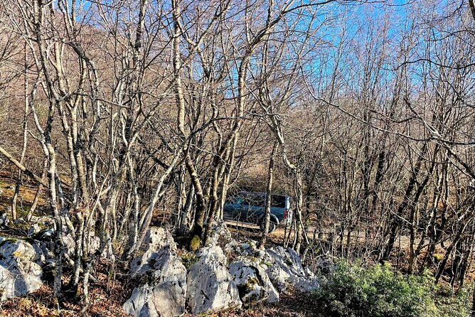 Dajti Mountain & Shengjergj Waterfall Day Trip on Land Rover - A quiet pause at Gurra e Perrise