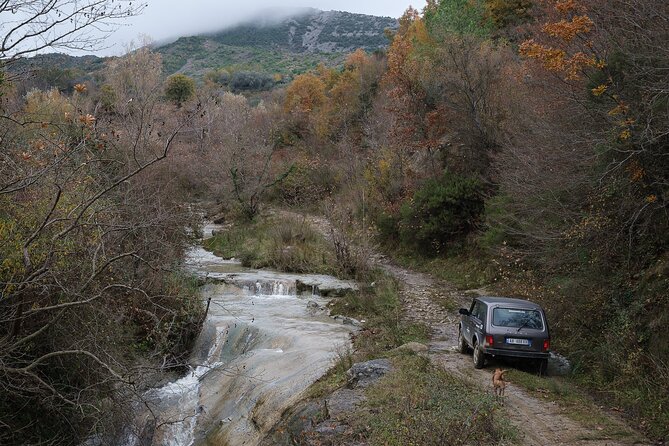 Drive a 4x4 Off-Road in the Tirana Valleys - A picnic beside old olive trees