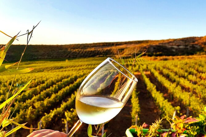 Durrës Countryside Vineyard Experience with Wine & Food Pairing - Why Durrës makes a good wine base
