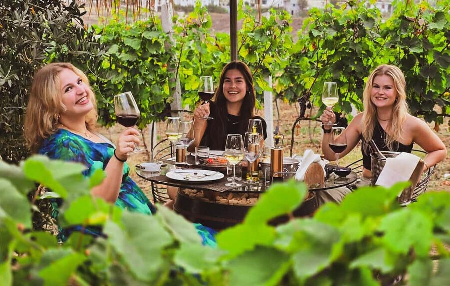 Durres Countryside Vineyards Wine Tasting & Food Pairing - Key points to know before you go