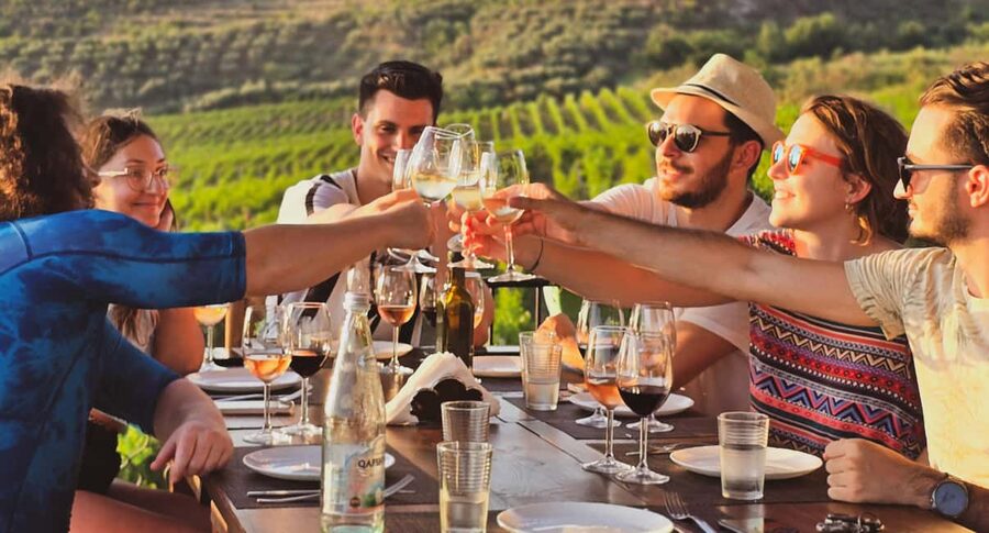 Durres Countryside Vineyards Wine Tasting & Food Pairing - Walking the vines and learning about Shesh grapes
