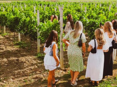 Durres Countryside Vineyards Wine Tasting & Food Pairing