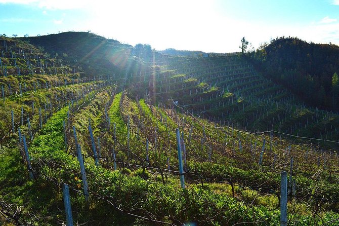 Durres & Wine Tasting Tour - Why this Durres and wine combination works