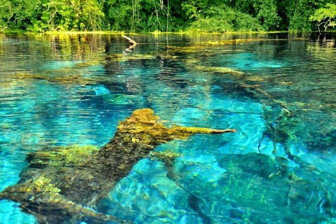 Explore Blue Eye- The Monument of Nature - Key points to know before you book