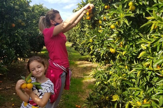 Family Mandarin Farming Tour with Traditional Cooking Lunch - Weather and practical comfort