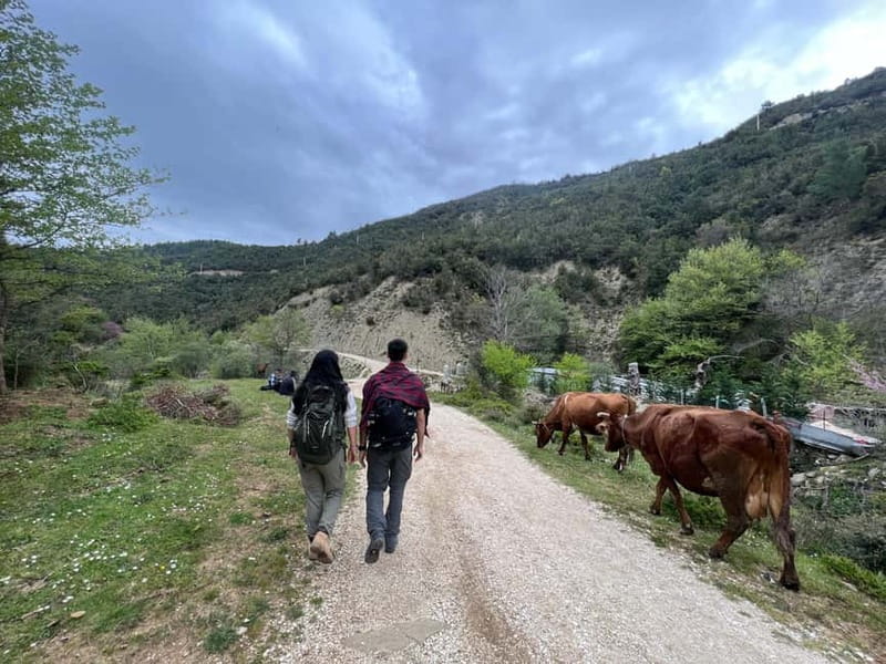 From Berat: Osumi Canyon and Bogova Waterfall tour. - Walking to Bogova Waterfall