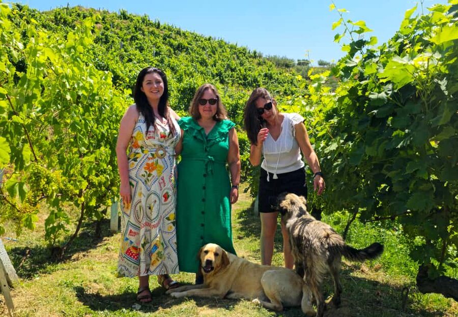 From Durrës: Albanian Wine Tasting with Vineyard & Boat Tour - Key points to know before booking