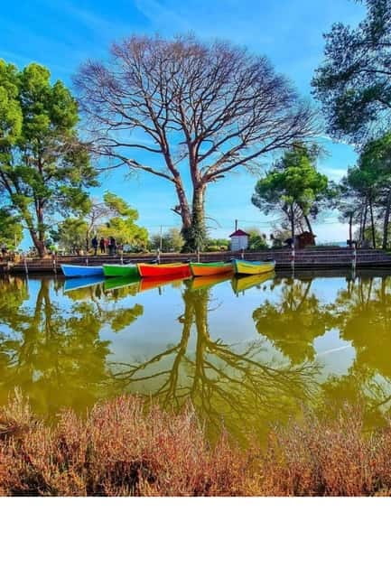 From Durres: Karavasta Lagoon & Apolonia Ancient City Tour - The guide and the feel of the day