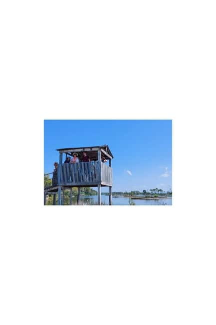 From Durres: Karavasta Lagoon & Apolonia Ancient City Tour - Karavasta Lagoon by boat