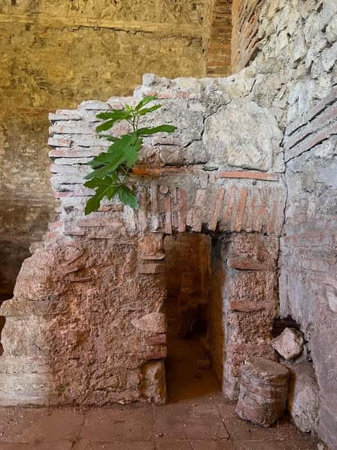 From Tirana: Berat City, Belshi Lake and Roman Baths Tour - Key points to know before booking