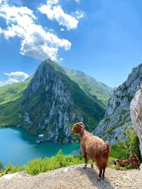 From Tirana: Bovilla Lake and Gamti Mountain Tour - Why Bovilla Lake Makes a Good Short Trip From Tirana