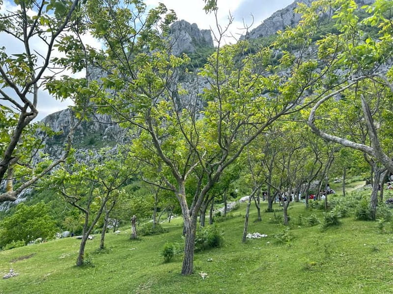 From Tirana: Bovilla Lake & Gamti Mountain Viewpoint Hike - What the guides add to the experience