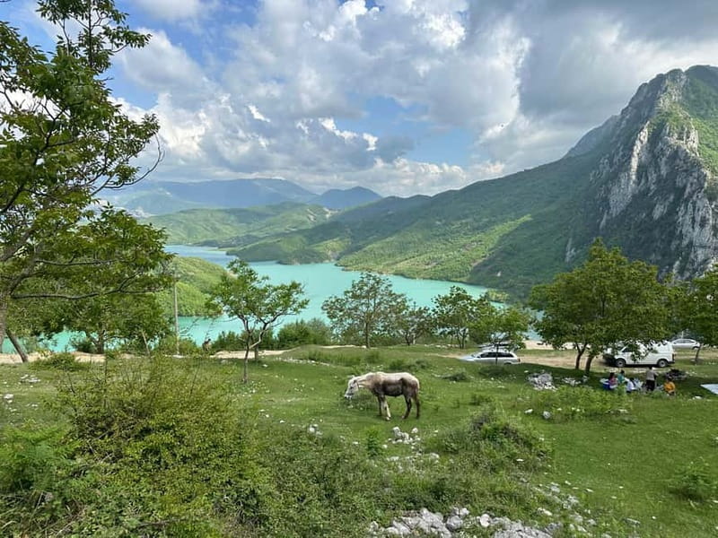 From Tirana: Bovilla Lake & Gamti Mountain Viewpoint Hike - Who should book, and who should think twice?