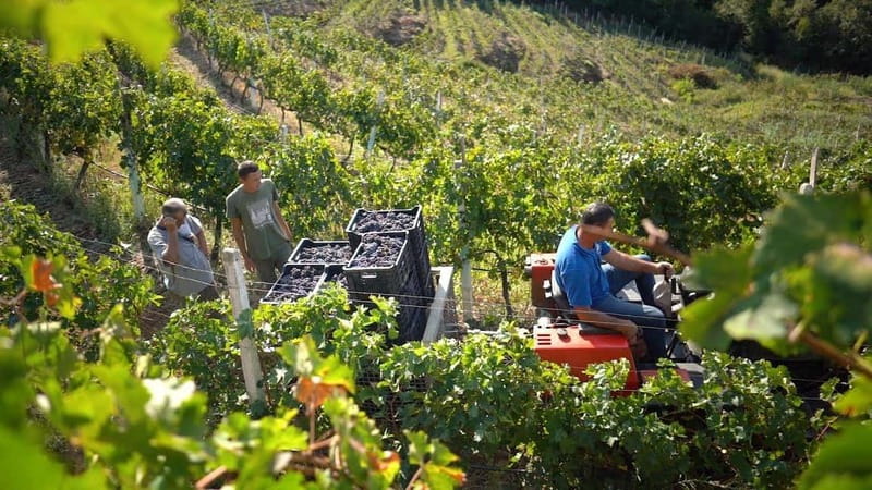 From Tirana/Durres/Golem: Cape of Rodon & Wine Tasting Tour. - Walking out to Rodon Castle