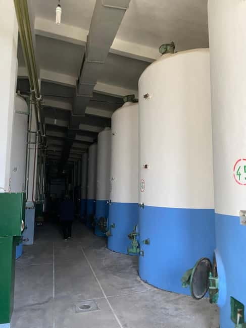From Tirana/Durres:WINE TASTING AT THE USSR WINERY LIBRAZHD - The guide makes a real difference