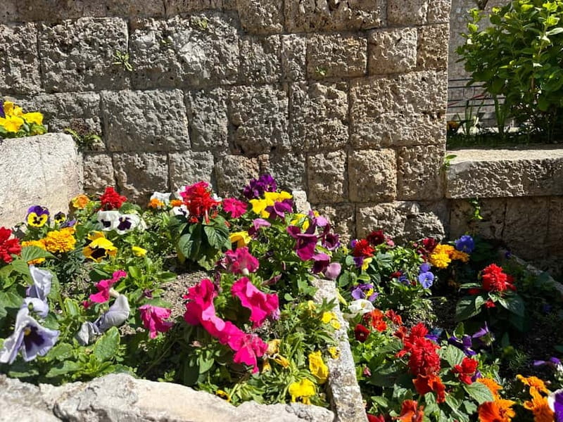 From Tirana: Kruja Castle, Old Bazaar & Sari Salltik View - Is $23 good value?