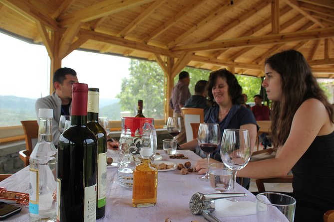 From Tirana Wine Tasting & Food tour in Berat - Who should book this Berat wine day?