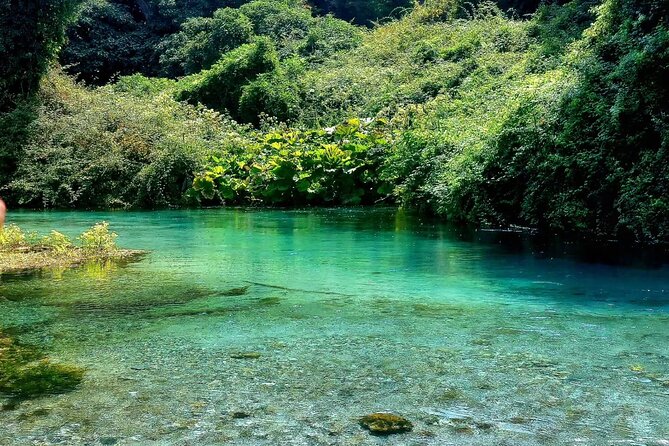 From Vlora: Albanian Riviera, Blue Eye & Gjirokaster Day Trip - One hour to browse the Old Bazaar