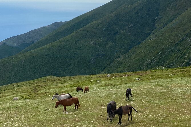Full Day Tour from Albanian Riviera/Borsh to Dhermi and Llogara - Dhërmi, mountain village above the Ionian coast