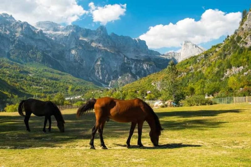 Full day tour to Theth from Tirana,Durres and Shkoder - The Blue Eye hike