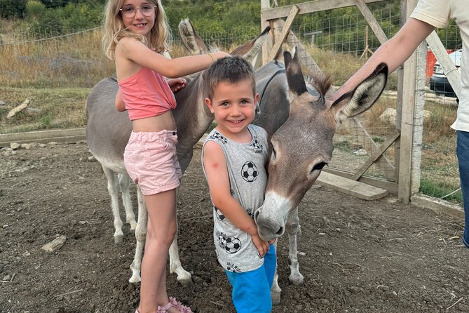 Gourmet Lunch Farm Tour with Cooking Class - Why this farm day works so well from Sarandë