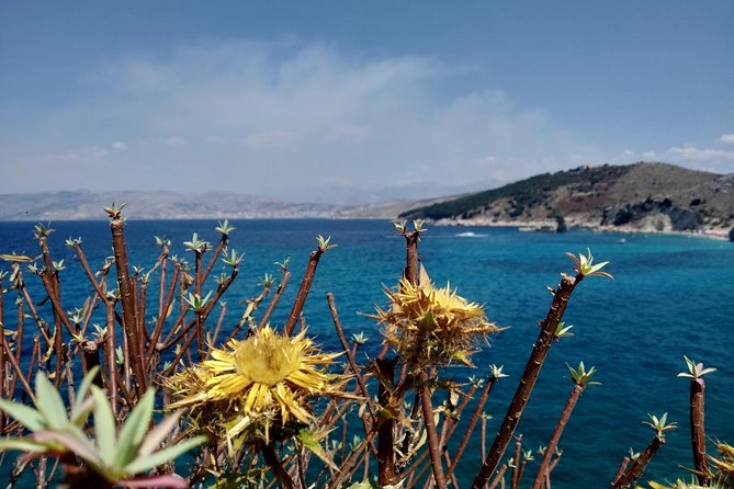 Half-day Tour in South Albania (Blue Eye, Lekursi Castle, Ksamil) - Who should choose this half-day outing?