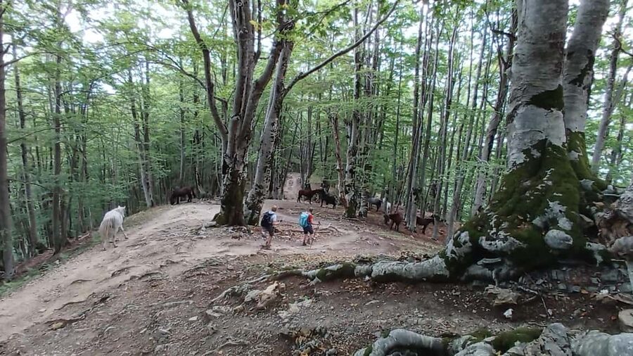 Hidden Gems of Theth:Private Day Tour to Waterfall &Blue Eye - Hiking to the Blue Eye of Theth