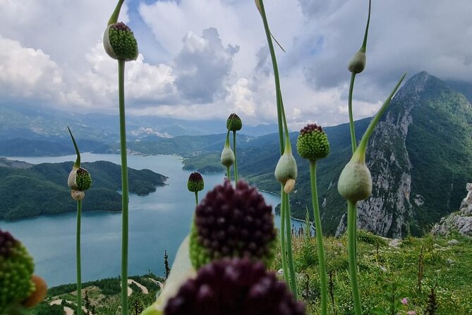 Hiking to Gamti, Bovilla Lake and Kruja Day Trip from Tirana - What the $43.54 price really buys you