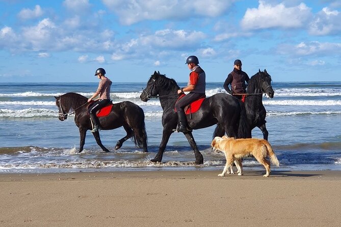 Horseback Riding Adventure in Durrës for Experienced Riders - What this Durrës horseback ride is really for