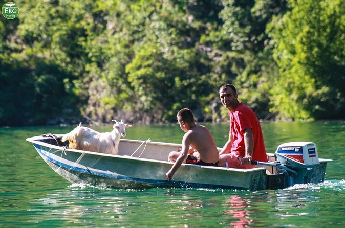 Komani Lake and Shala River Tour - The return journey and the pace of the day