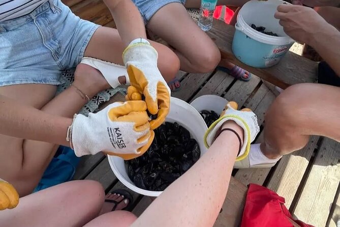 Ksamil: Mussel Sailing Tour with Food and Drink in Albania - What $69 includes, and what it does not