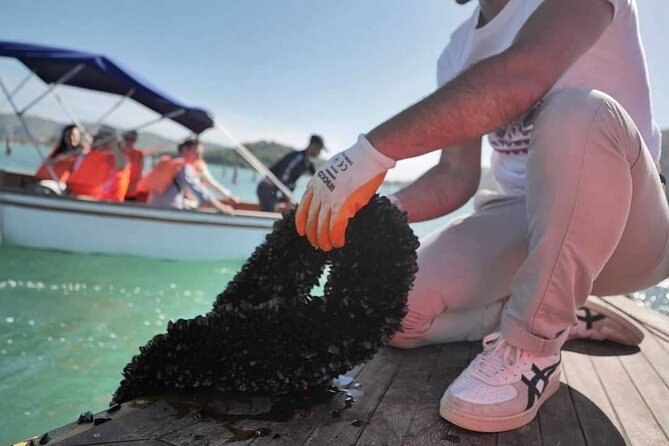 Ksamil: Mussel Sailing Tour with Food and Drink in Albania - Is $67.72 a fair price?