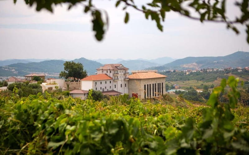 Lundër: Lundra Winery Guided Tour with Wine Tasting - A family winery within reach of Tirana