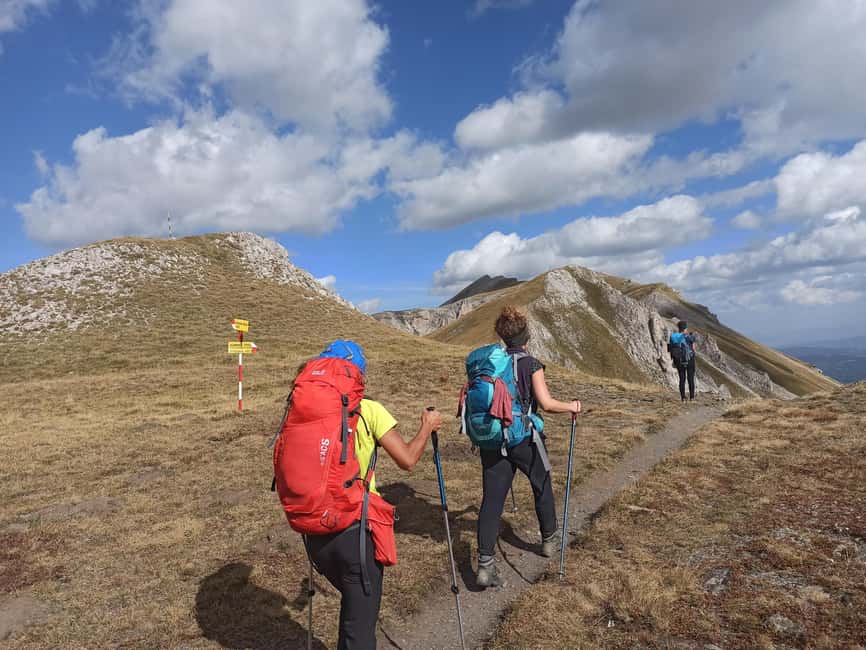 Mavrovi Anovi: Guided Full-Day Hike to Golem Korab Peak - The beech forest section up to 1,700 meters