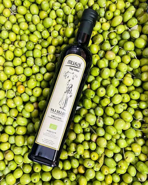 Musai Olive Oil Tour and Tasting - Starting at Musai Olive Oil near Vlorë
